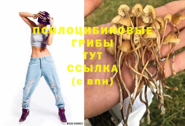 метадон Надым