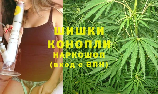 прущая мука Горняк