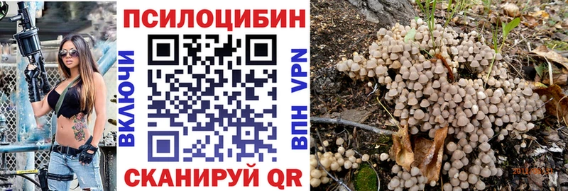 Галлюциногенные грибы GOLDEN TEACHER  блэк спрут ССЫЛКА  Оханск 