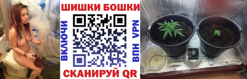 как найти   Оханск  Бошки марихуана Bruce Banner 